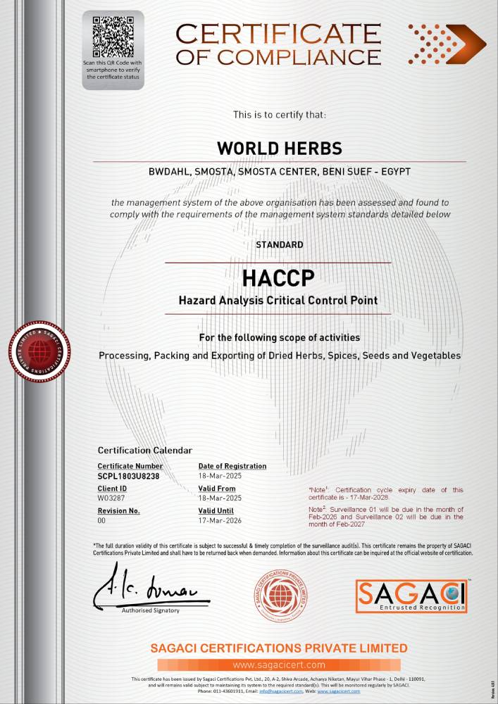 Certificate 01