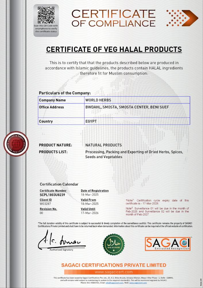 Certificate 02