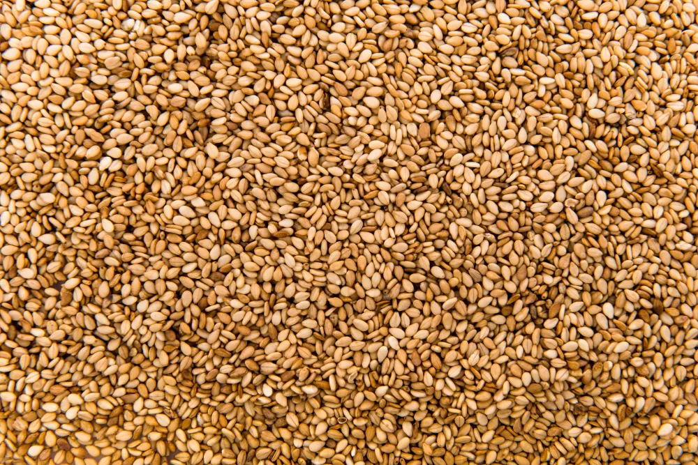 Sesame